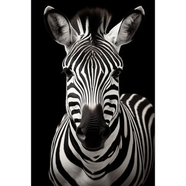 Zebra Head Black and White Canvas